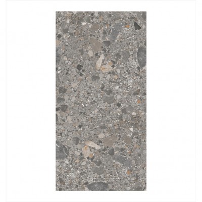 Porcelanato para Exteriores 60x120 Color Gris 